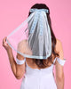 White tulle bridal veil with blue lace trim and a large bow