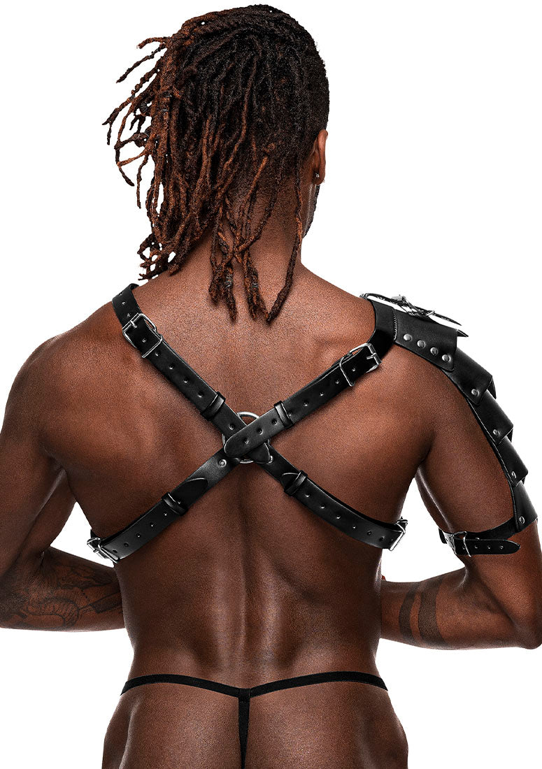 Back view