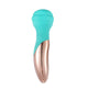 Kali dual motor double ended mini massage wand