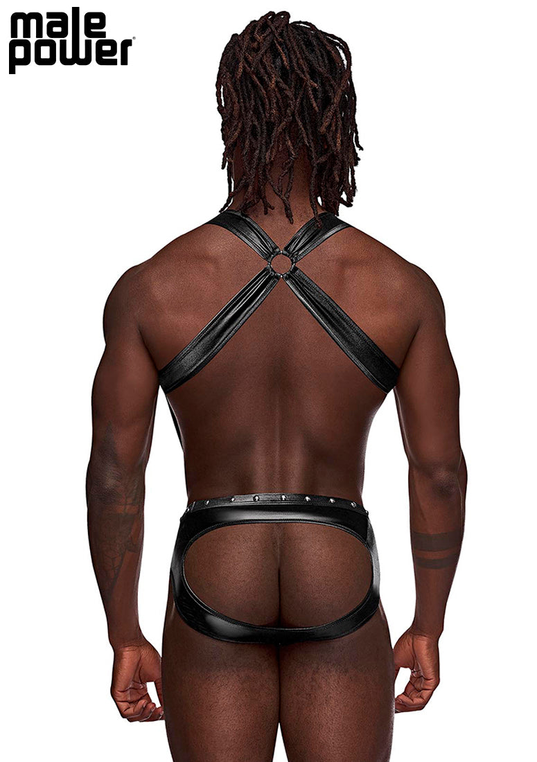Back view