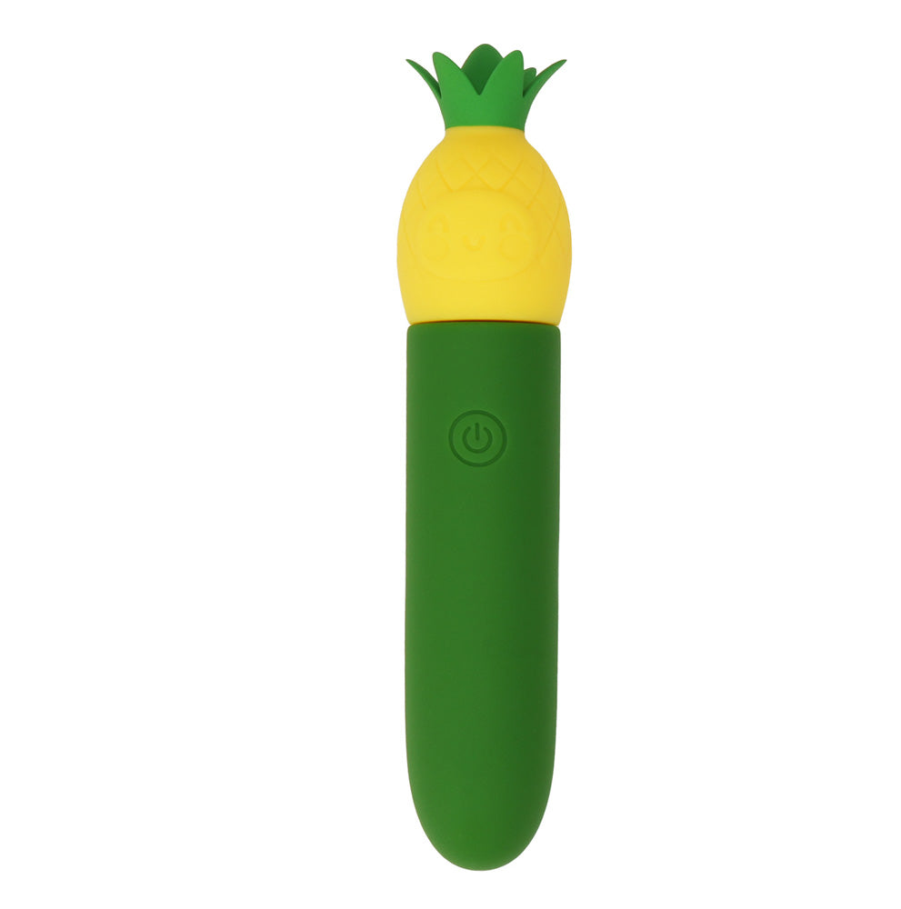 Pina direct charge rechargeable silicone mini vibe