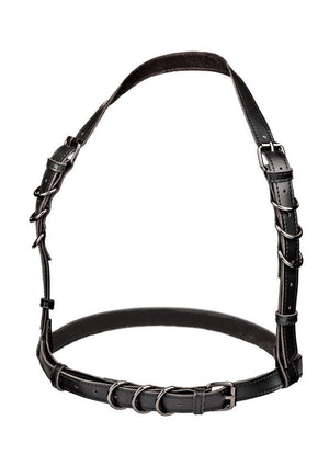 Euphoria Collection Halter Buckle Harness