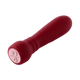 FemmeFunn Booster Bullet Massager Silicone Vibrator