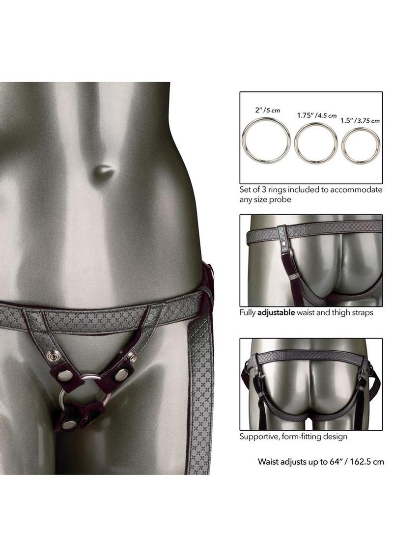 Her Royal Harness The Regal Duchess Harness