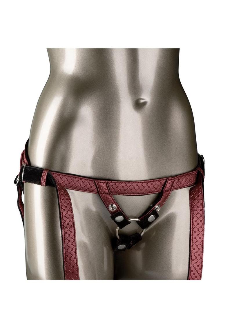 Her Royal Harness The Regal Duchess Harness