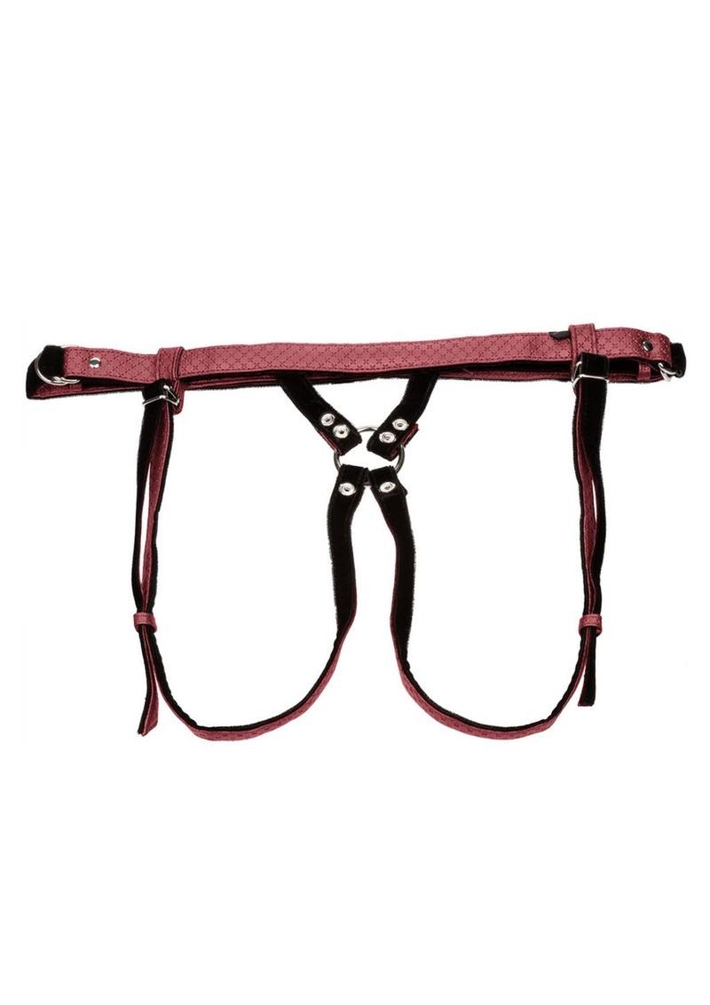 Her Royal Harness The Regal Duchess Harness