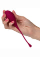 CalExotics Kegel Training Silicone Weighted Set