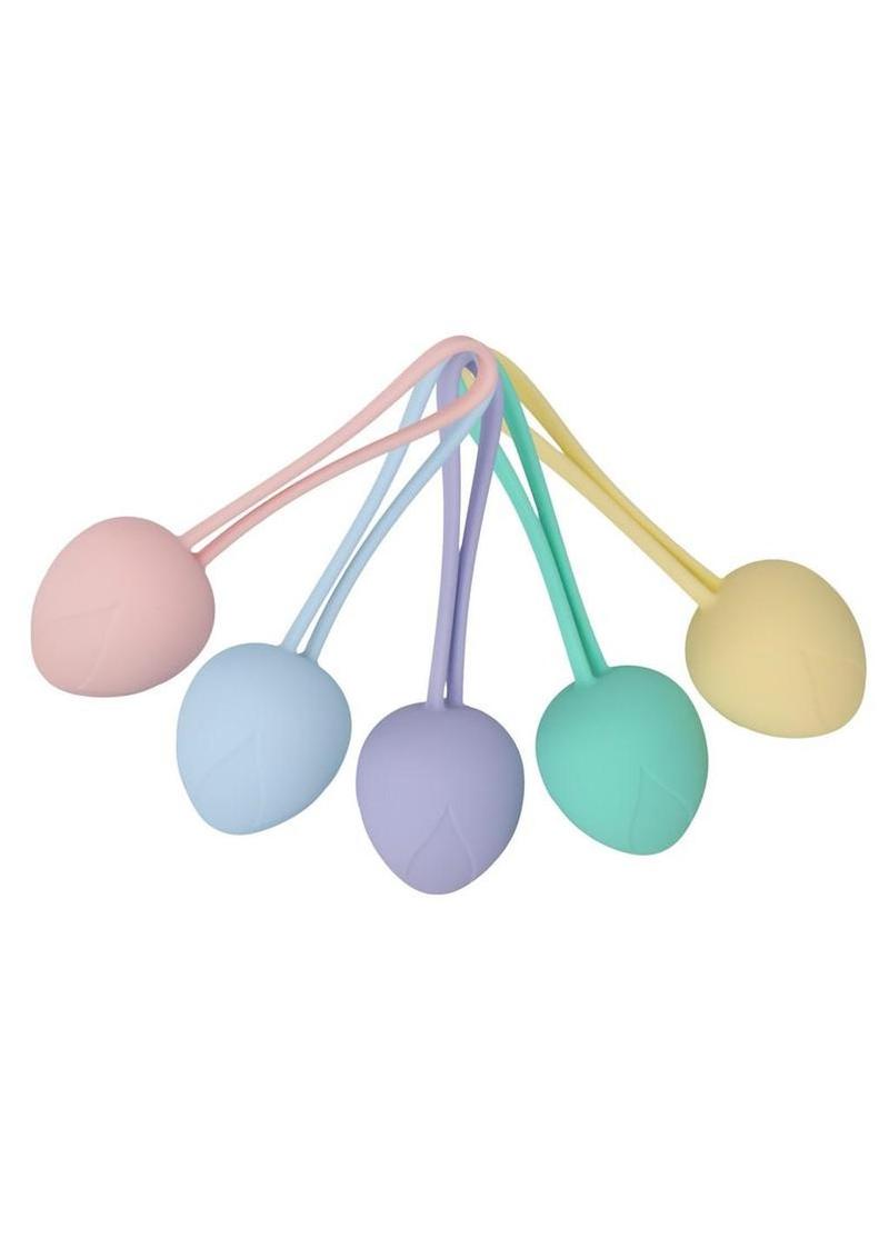 Loveline Pelvifit Berry Kegel Kit 5 Progressive Weights