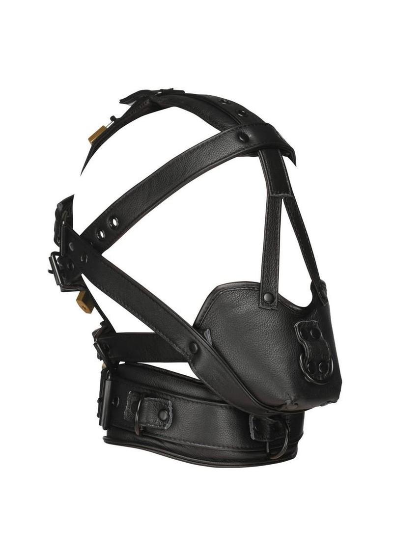 Master Series Leather Headgear Harness