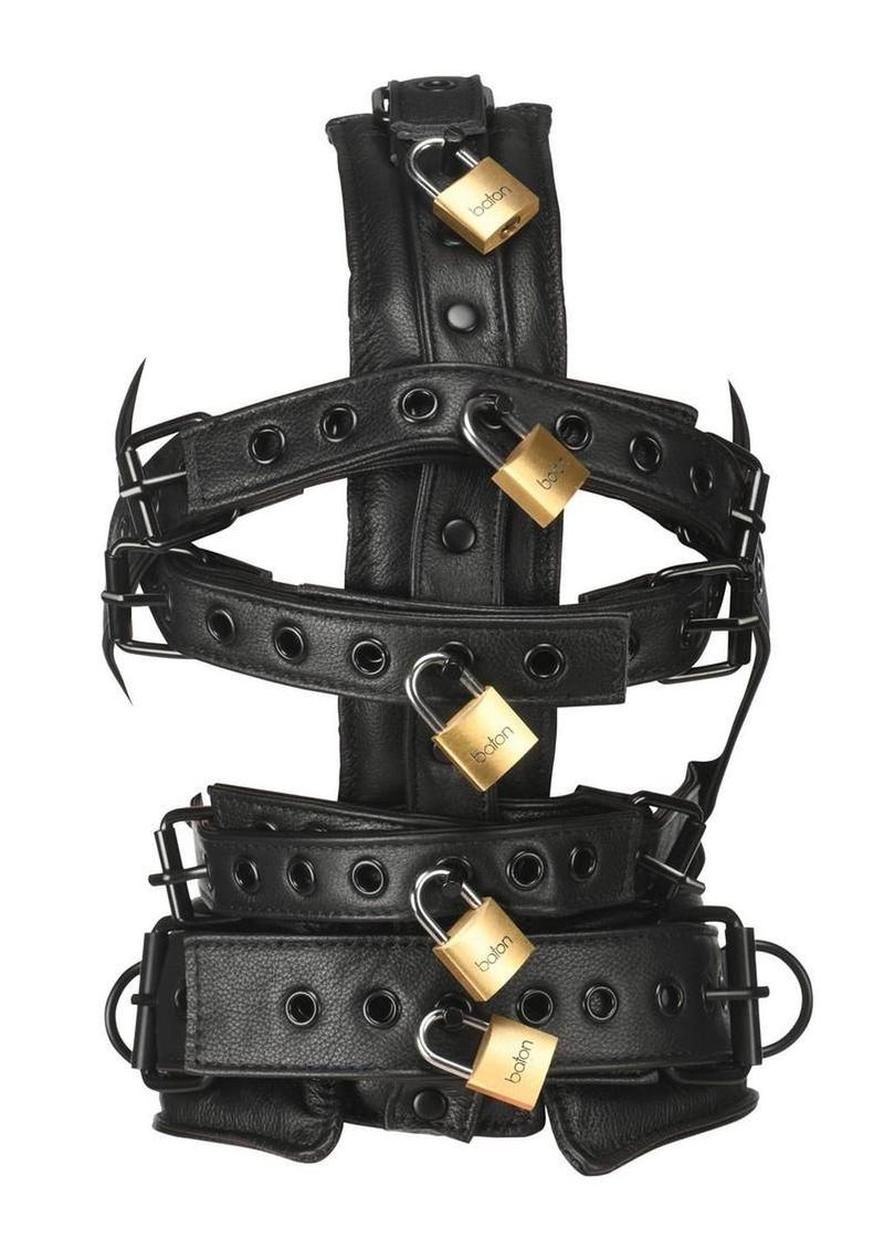 Master Series Leather Headgear Harness