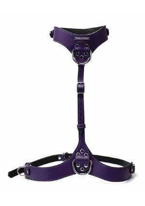 Punishment Body Harness