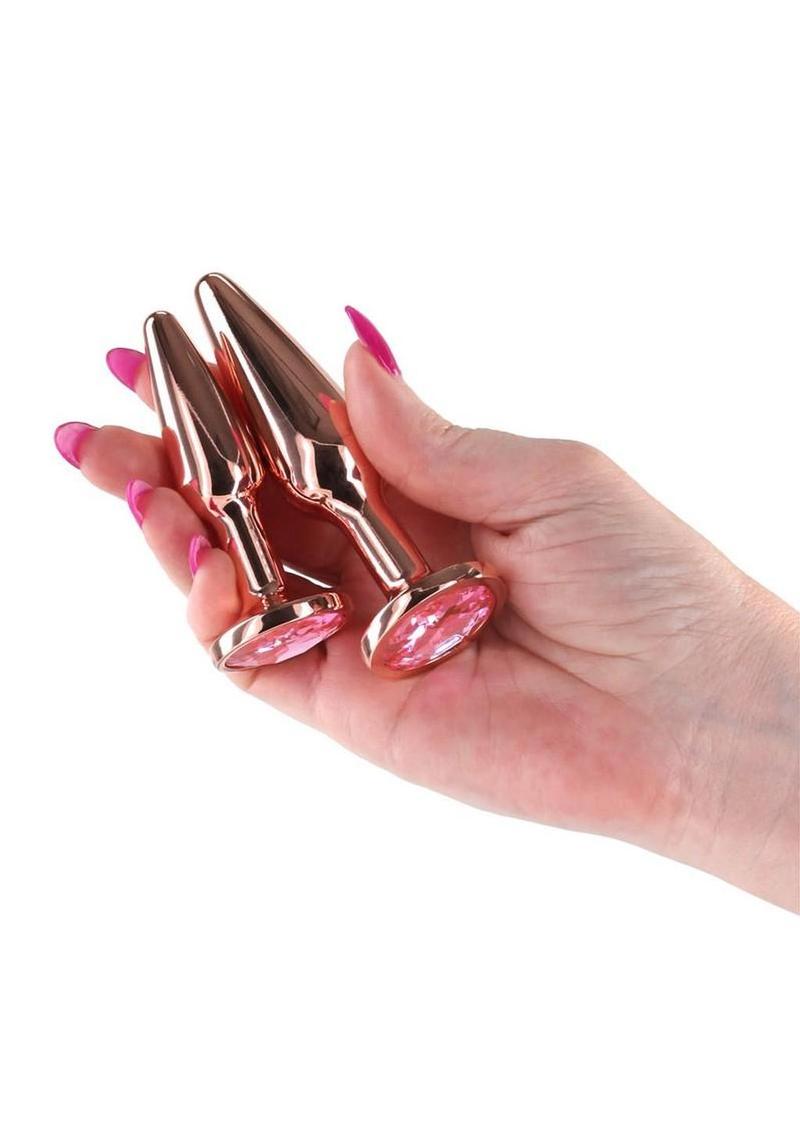 Rear Assets Metal Anal Plugs 2-Piece Kit
