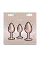 Rear Assets Metal Anal Plugs 2-Piece Kit