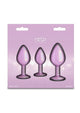 Rear Assets Trainer Pearlescent Metal Anal Plugs 3-Piece Kit