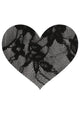 Peekaboo Satin and Lace Hearts Pasties