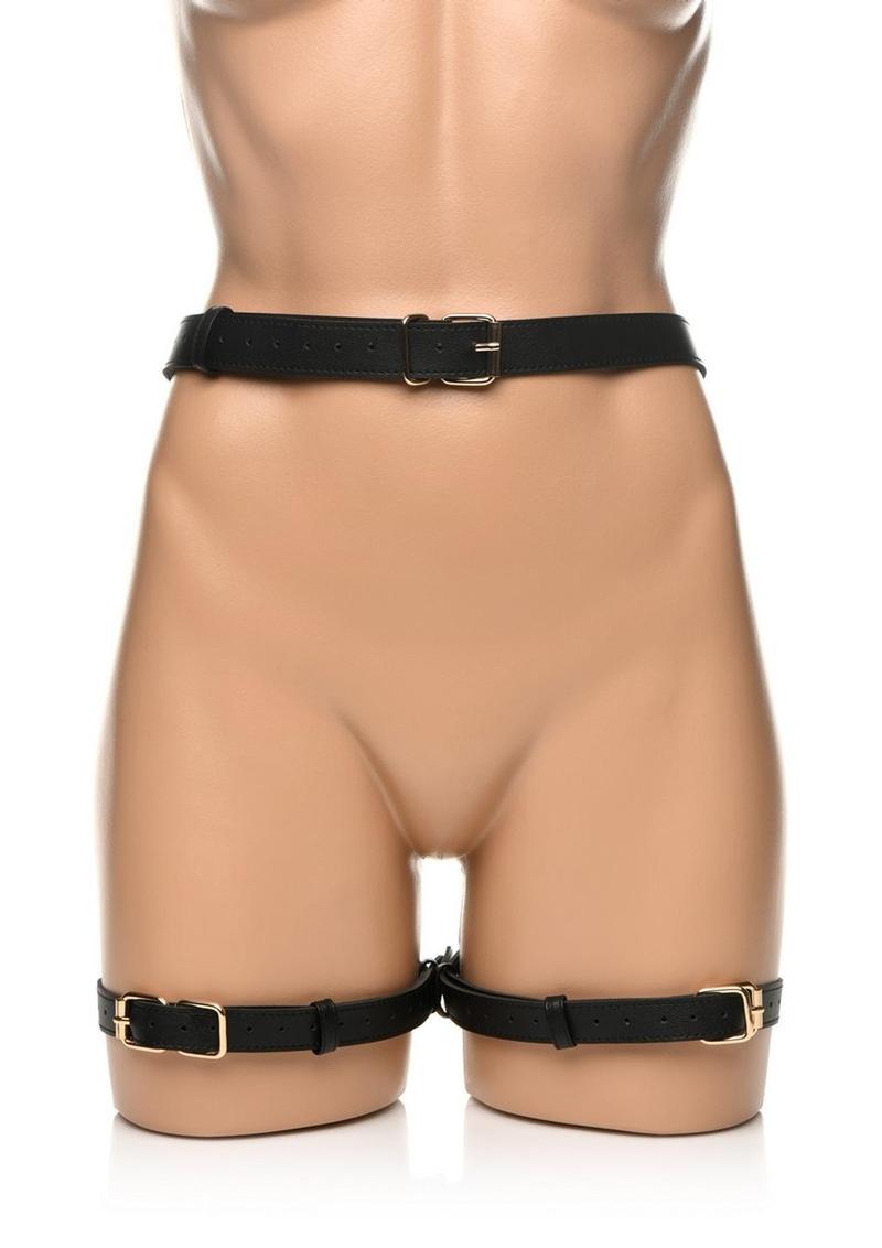 Strict Bondage Harness with Bows PU Leather Set