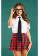 Teacher's Pet Private School Girl Sweetheart Costume 4pc Set