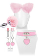 Try-Curious Kitty Kit in pink with faux-fur ears, tail butt plug, heart collar and heart nipple grips